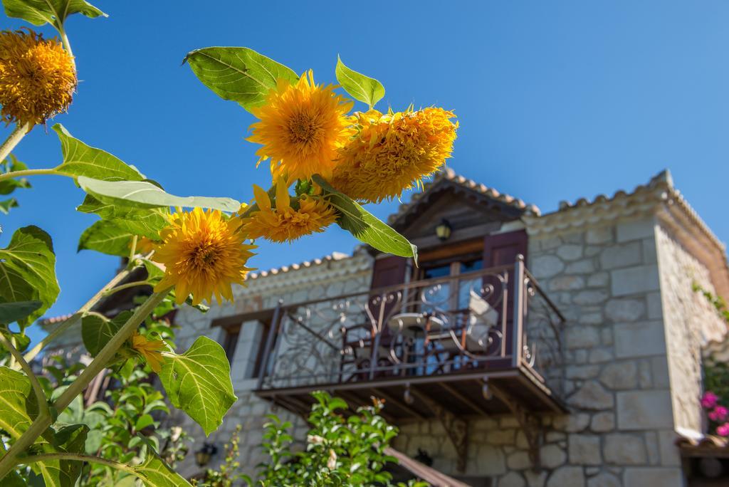 בית כפרי Ktima Kourou
